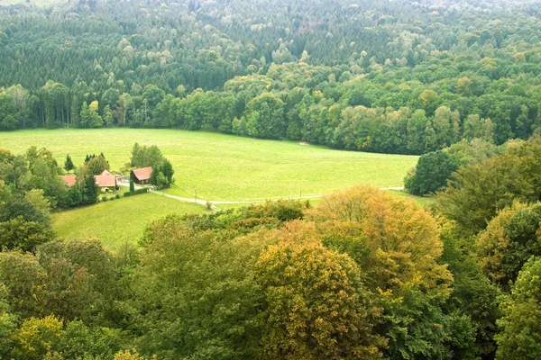 Bosque de casa de campo y campos verdes — Foto de Stock