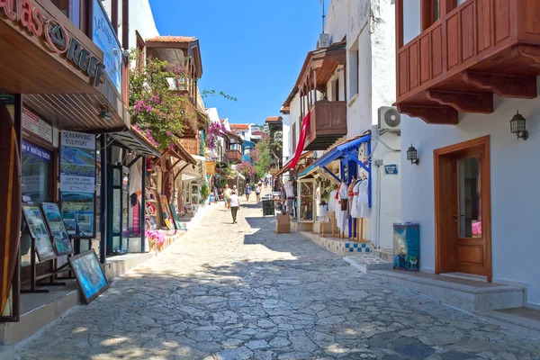 Turkse provinciale straat met een geplaveide weg — Stockfoto