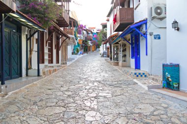 Arnavut kaldırımlı sokak evleri ile