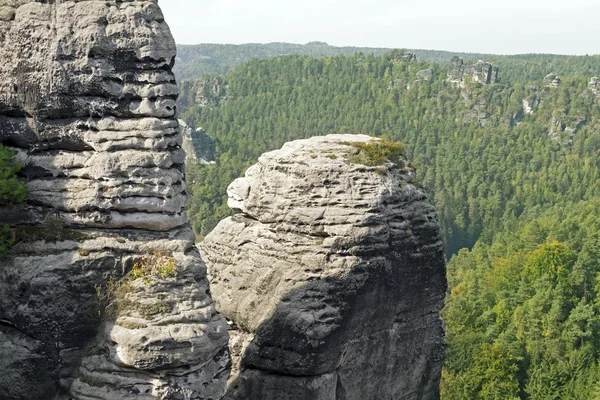 Gran roca y bosque —  Fotos de Stock