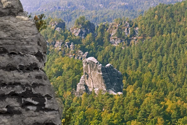 Fels auf dem Hintergrund des Waldes — Stockfoto