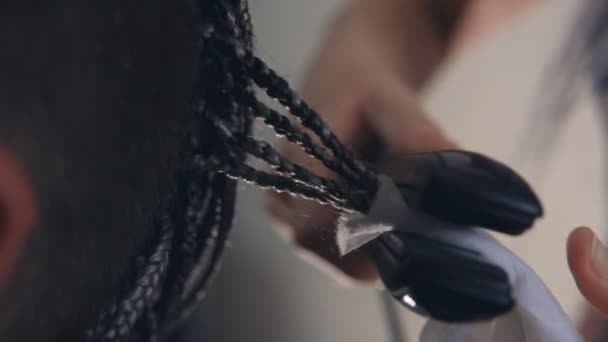 Usta Müşterinin Afro Saçlarını Düzelticiyle Buharlaştırıyor Yakın Plan — Stok video