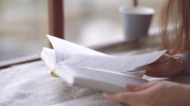 Ablak Előtt Levelezik Könyvön Keresztül Kellemes Időtöltés Papírkönyvet Olvasok Hangulatos — Stock videók