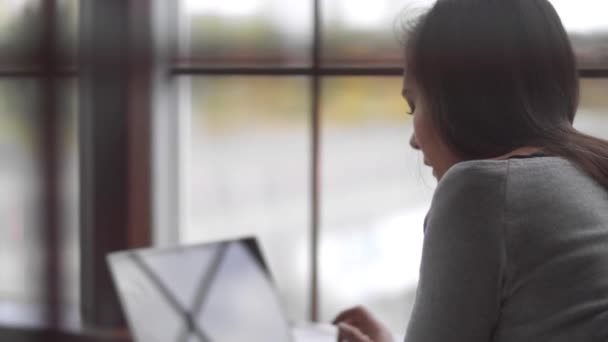 Молодая Женщина Лежит Перед Окном Работает Ноутбуком Удобная Рабочая Среда — стоковое видео