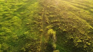 Nehrin yanındaki parlak yeşil çayır doğmakta olan güneşin ışınları altında. Şafakta uçurumun kenarında. Helikopterden ateş ediliyor.