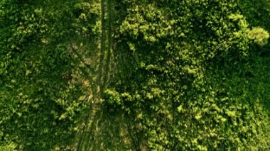 Nehrin yanındaki açıklığın ortasında tekerlek izleri var. Parlak yeşil kenar şafakta. Helikopterden ateş ediliyor.