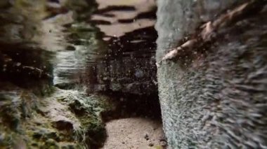Dağ deresi taşların arasından akar. Kamera su altında akıntıya karşı ilerliyor..