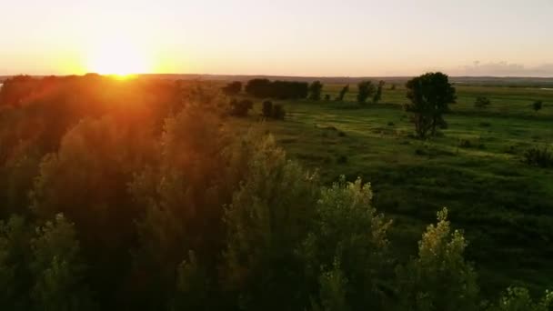 Krásný Východ Slunce Nad Řekou Polem Říční Doprava Pluje Podél — Stock video