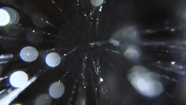 Water Flows Out Shower Drops Fall Directly Camera — Stock Video