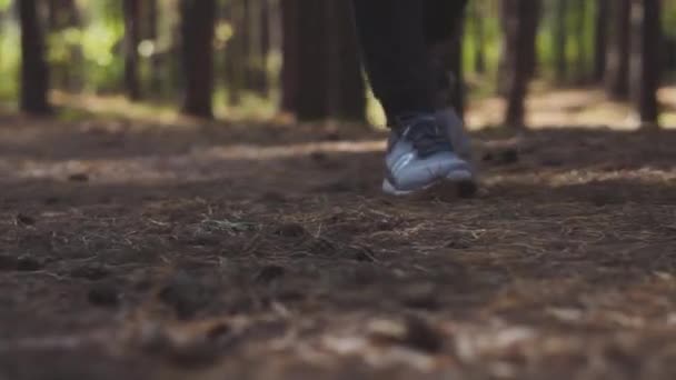 Hombre Con Zapatillas Grises Camina Por Bosque Camina Aire Libre — Vídeos de Stock