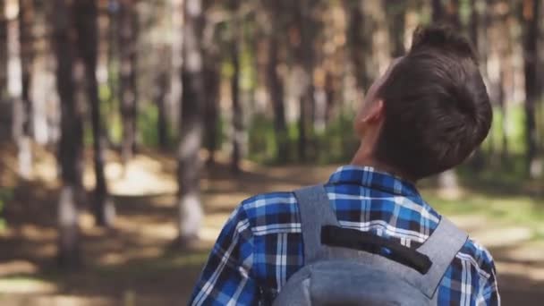 Tipo Con Una Mochila Camina Por Bosque Mira Hacia Arriba — Vídeos de Stock