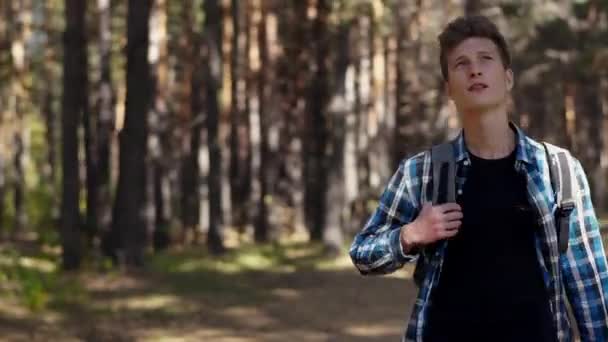 Sırt Çantalı Mavi Gömlekli Genç Bir Adam Ormanda Yürüyor Ağaçlara — Stok video