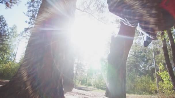Hombre Balanceándose Columpio Parque Sol Brilla Intensamente Feliz Pasatiempo — Vídeos de Stock