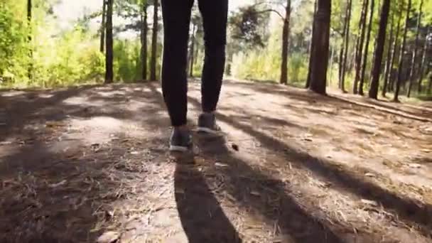 Homem Tênis Cinza Caminha Pela Floresta Dia Verão Claro Caminhe — Vídeo de Stock