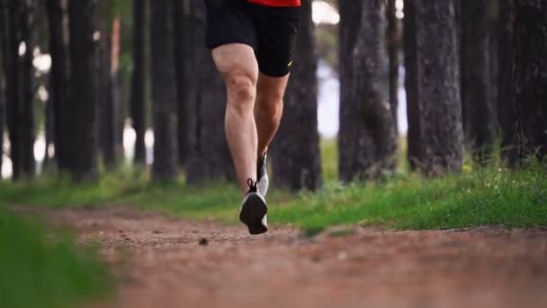 Homem Musculoso Corre Longo Uma Estrada Florestal Verão Close Esportes — Vídeo de Stock