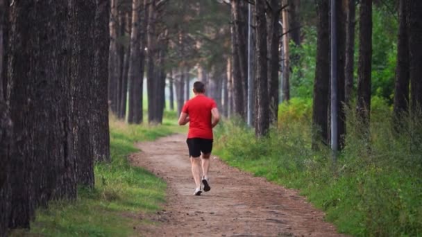 Atleta Corre Longo Estrada Floresta Movimento Lento Esportes Livre — Vídeo de Stock