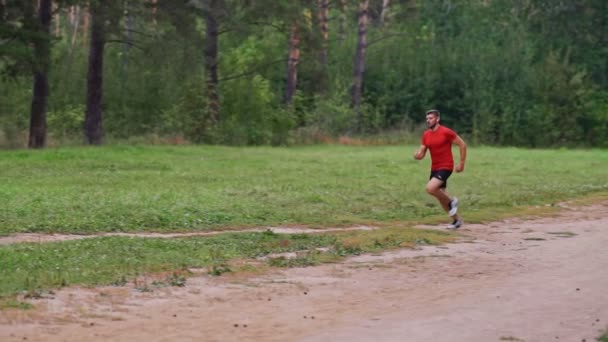 Homem Musculoso Corre Rápido Longo Estrada Floresta Formação Livre — Vídeo de Stock