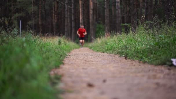Atleta Corre Longo Caminho Parque Exercício Livre — Vídeo de Stock