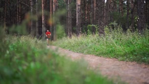 Hombre Corriendo Parque Verano Entrenamiento Aire Libre — Vídeos de Stock