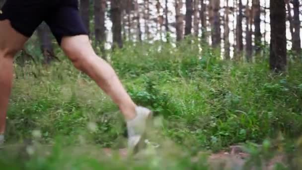 Man Jogging Summer Forest Outdoor Workout — Stock Video