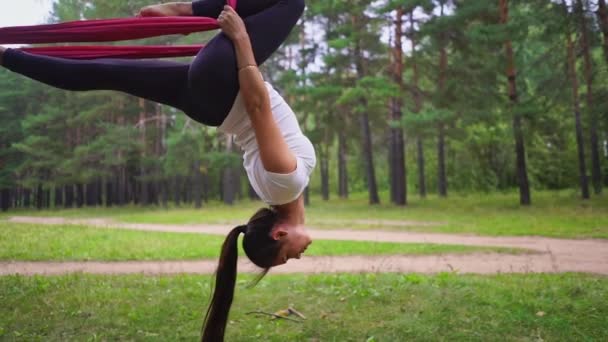 Donna Impegnata Nello Yoga Mosca Nel Mezzo Della Foresta Sport — Video Stock