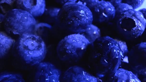 Kamera Bergerak Atas Blueberry Basah Cahaya Atas Buah Perlahan Bergerak — Stok Video