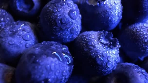 Schöne Blaubeeren Wassertropfen Blauem Licht Der Makrofotografie — Stockvideo
