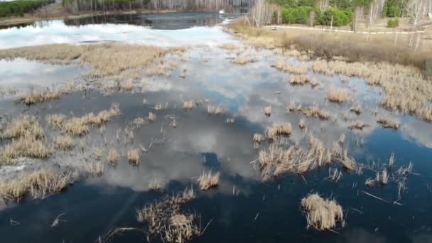 Drone Vuela Sobre Lago Cubierto Hierba Seca Juncos — Vídeos de Stock
