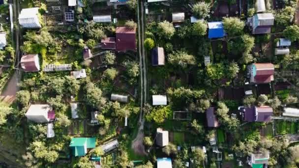 Private Houses Vegetable Gardens Located Close Each Other View Shooting — Stock Video