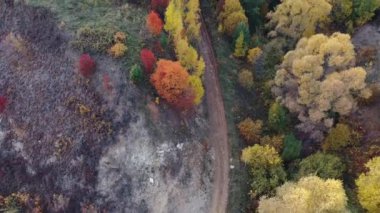 Parlak sonbahar manzarası yukarıdan bir kuadkopterden çekilmiş. Kamera yol boyunca hareket eder.