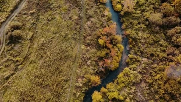 Sonbahar Manzarası Yukarıdan Bak Güzel Orman Nehir Yol — Stok video
