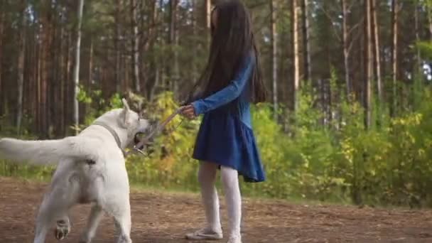 Chica Jugando Con Perro Carretera Bosque Caminar Con Mascota — Vídeos de Stock