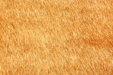 Thatch texture clipart