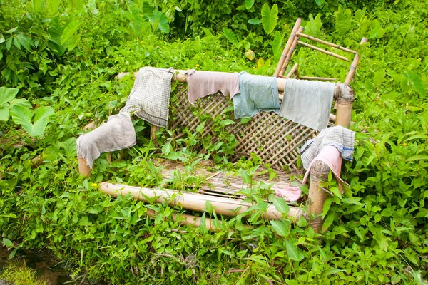 Alte Bambusbank von Pflanzen überwuchert — Stockfoto