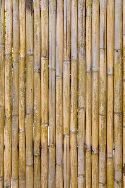 Struttura del recinto di bambù — Foto Stock