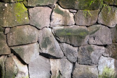 Büyük taş dokulu ve çim duvar