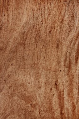 Ahşap doku doğa tarafından yapılan