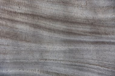 Ahşap doku doğa tarafından yapılan