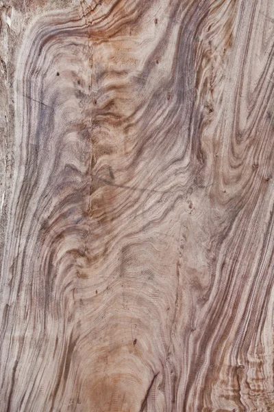 Wooden texture made by nature — Stock Photo, Image