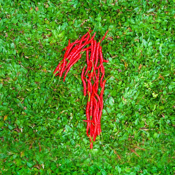 "1 "grupo de chiles rojos en forma de símbolo — Foto de Stock