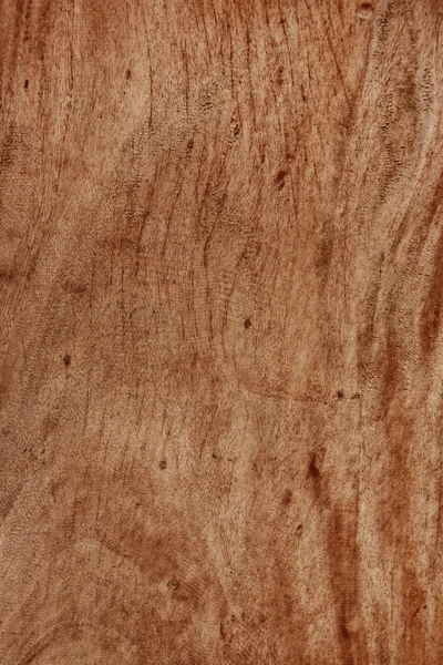 Wooden texture made by nature — Stock Photo, Image