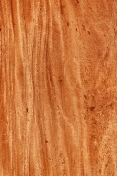 Texture of  wood background — Stock Photo, Image