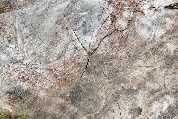 Old wood texture — Stock Photo, Image