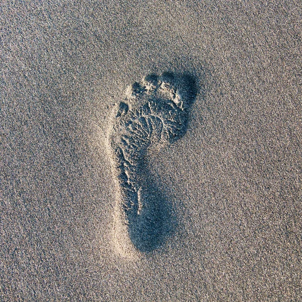 Empreinte dans le sable — Photo