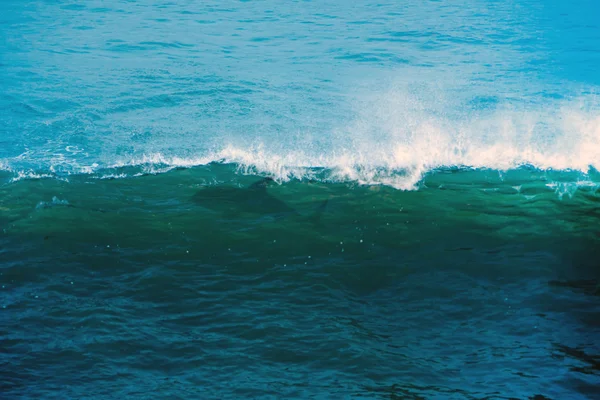 在海浪中的鲨鱼剪影 — 图库照片