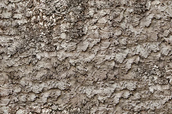 Eski sert duvar sıva sorunsuz doku — Stok fotoğraf