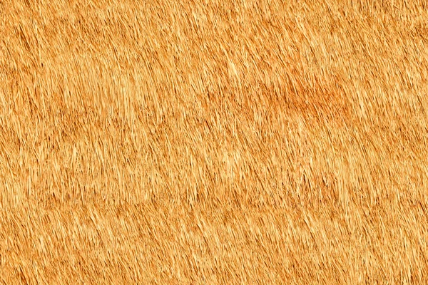 Thatch seamless texture — Stock Photo, Image