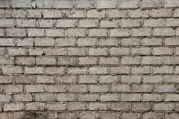 Aerated concrete wall texture — Stock Image Aerated concrete wall texture Stock Photo