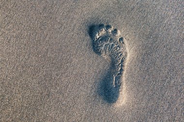 Kumda ayak izi