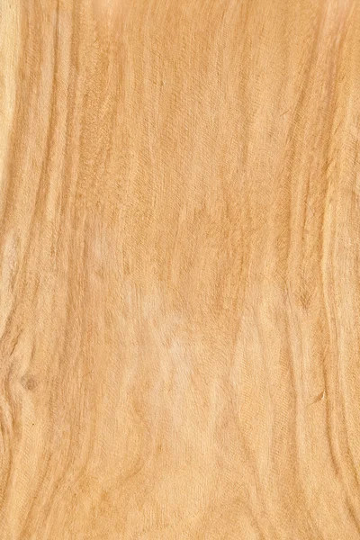 Texture of  wood background — Stock Photo, Image